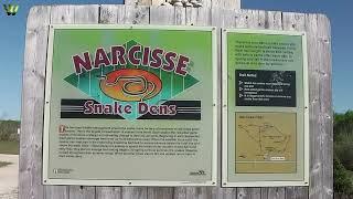 The Narcisse Snake Dens | Manitoba