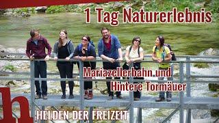 Naturpark Ötscher-Tormäuer und Mariazellerbahn: Ein Tag Naturerlebnis