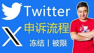 推特申诉丨所有人都应该知道的申诉流程，Twitter收不到官方回复的解决方法