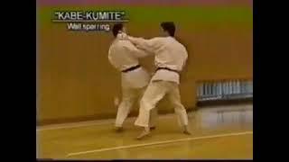 Isso é This is Karatê Shotokan 2   Kumite