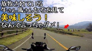 島原～阿蘇１泊ツーリング [ アフリカツイン CRF1000L ] 牛馬は美味しそう？