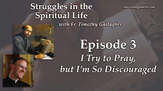 I Try to Pray, but I’m So Discouraged – Struggles in the Spiritual Life with Fr. Timothy Gallagher