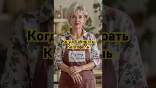 Когда собирать картофель #дача #рассада #сад #огород #garden #лайфхаки #овощи#diy#топ #цветы#садовод