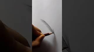 feather drawing #soniartz