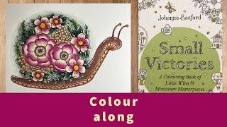 Colour along in Johanna basford small victories ~ Snail