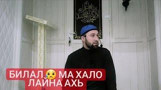 Хьехам (Билал Мол) дог делхош дицар