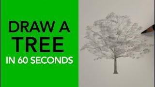 Learn to draw a tree!  | Drawing Tutorial #shorts