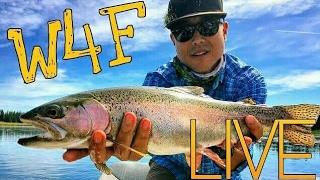 LIVE with Ken Tanaka of Wish4Fish - W4F - Fly Fishing Techniques, Gear, and the Industry