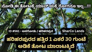 ID #561 - ಎಲೆ ಚುಕ್ಕೆ, ಹಳದಿ ಎಲೆ ರೋಗ? ಇದೆಯಾ ಇಲ್ಲವಾ? ಬಂದು ನೋಡಿ.!!!