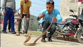   खतरनाक किसिम को कोब्रा सर्प भेटियो आज #nepal snake rescue team