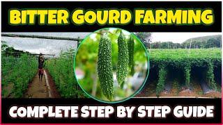 Bitter Gourd Farming | How to grow Bitter Melon from Seed at Home | Bitter Gourd Cultivation