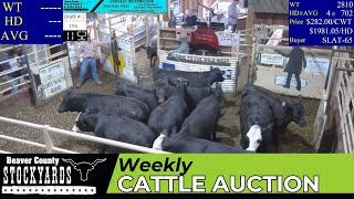 6/25/2024 - Beaver County Stockyards Weekly Cattle Auction