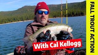 Fall & Winter Trout Tips: How To Hook Up In Cold Water!