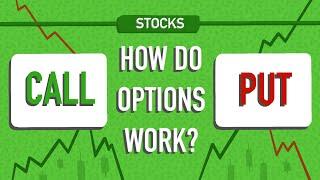 What are Stock Options? (and How do they Work?)