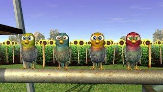 The Chicken Dance - Kids Songs | Zenon The Farmer Nursery Rhymes