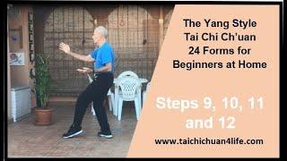 Steps 9 - 12 for the beginner from the Yang style Tai Chi - 24 Forms "Practice after Class"