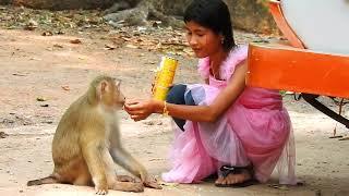 Charity of Beautiful Girl gives food to a monkey.