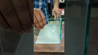 Fish Tank making #betta #fishtank #shorts |Madurai Senthil Aquarium Shop