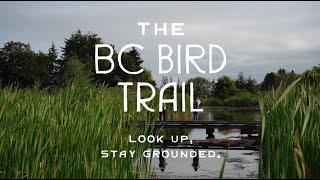 South Fraser    BC Bird Trail   15 Second   16x9