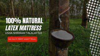 Discover the Benefits of a Natural Latex Mattress-Usha Shriram