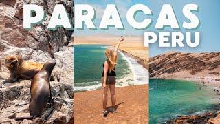 Exploring the beautiful Paracas; national reserve, sea lions & penguins  Peru travel vlog