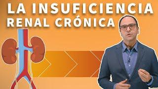 Enfermedad renal crónica y la insuficiencia renal | Chronic kidney disease (Spanish)