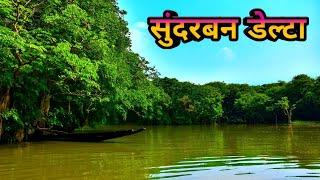 सुंदरबन डेल्टा के बारे में रोचक जानकारी | Sundarban delta ke bare mein jankari | Sundarban jungle
