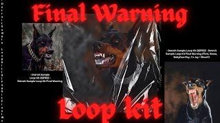 [8]FREE - Detroit Sample Loop Kit Final Warning (Babyfxce E, Veeze, Babyface Ray, Yn Jay + More!!)