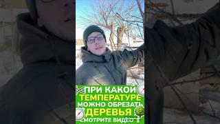 #обрезкадерева #обрезкасада #сад #садоводство #обрезкаплодовых #обрезкадеревьев #весенняяобрезка