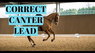 HOW TO CANTER ON THE CORRECT LEAD