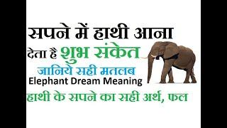 सपने में हाथी देखना कैसा होता है | सपने में हाथी देखने का मतलब, अर्थ या फल शुभ है या अशुभ ?