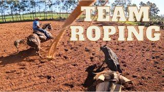 Team Roping Practice (GO PRO) Heeler View