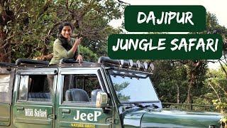 राधानगरीत केली संध्याकाळी ट्रेल | 'दाजीपूर जंगल सफारी' | Dajipur Safari