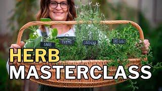 GROW HERBS in Hot Climates: Top 10 Tips for a Thriving Herb Garden