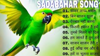 OLD IS GOLD Sadabahar hindi gaane ll Bollywood hindi mp3 song ll Sadhana saragam song 
