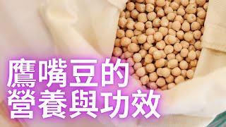 2022.11.17 鷹嘴豆的營養與功效 (Nutrition and efficacy of Chickpeas)