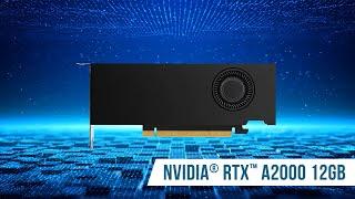 NVIDIA RTX A2000 12GB | Compact Design & Unmatched Performance