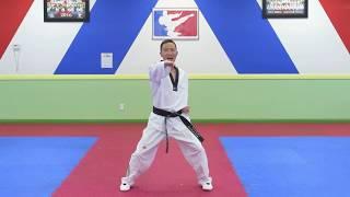 Han Bros Taekwondo Yellow Belt Hand Techniques 11-20 Master Han