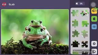 Relax Jigsaw Puzzles ( Frog )