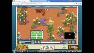 Animal jam live Sindal2015