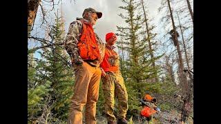 Colorado Backcountry Elk Bow Hunting. Father and Son trip of a lifetime.