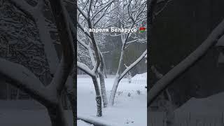 #деревня #поселок #деньвдеревне #усадьба #завируха