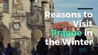 Reasons Why You Should Visit Prague in Winter