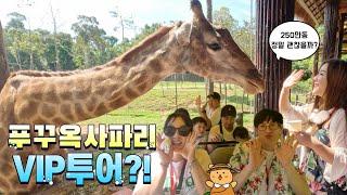 푸꾸옥 사파리 VIP 투어 | 250만동 정말 괜찮을까? | 빈펄 사파리 생생후기 대가족여행 | 아이들 동반 여행