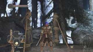 Dark Souls 2 - Smooth & Silky Stone Location and Use