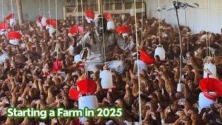 How To Start A Profitable Chicken Farm In 2025 (Complete Guide)