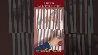 Illusion - Das doppelte Pferd #diy #papier #illusions