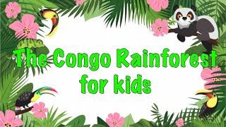 Facts about the Congo Rainforest For kids