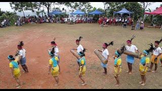 Hub News | 50 Drums Wangala, Balchol Abri