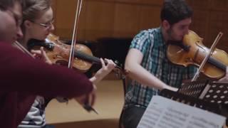 Alexander String Quartet on The Art of Teaching (From “Con Moto”)